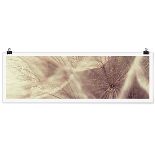 Bilderwelten Poster Dandelion Macro Shot Vintage Blur Effect Panorama Brillante 20 x 60cm