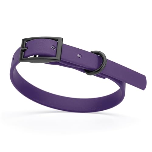 Image of Dogline Biothane Waterproof Dog Collar Strong Coated Nylon Webbing with Black Hardware Odor- Proof for Easy Care Easy to Clean High Performance Fits Small Medium or Large Dogs, Violet Purple