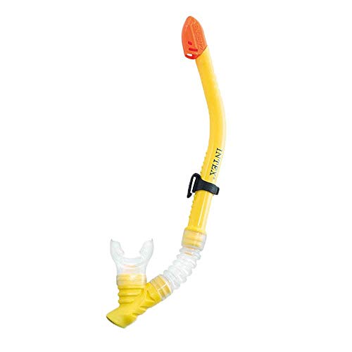 Intex Wave Rider Hypoallergenic Latex Free Mask & Easy Flow Snorkel Set (6 Pack) #TOP4