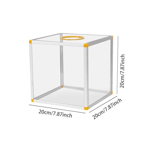 Boîte pour la collecte de fonds transparente en plexiglas rigide