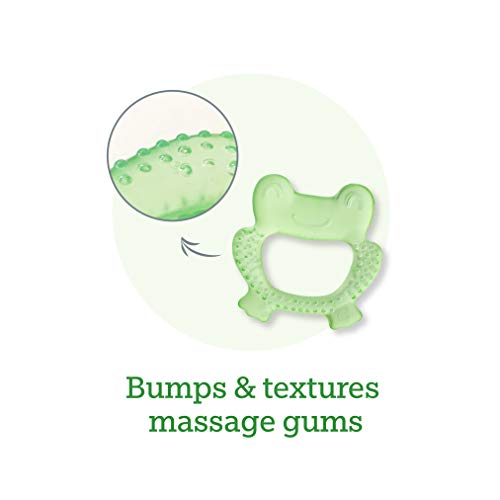 Green Sprouts Cool Nature Teether (2 Pack) | Soothes Gums & Promotes Healthy Oral Development | Safer Plastic Filled With Sterilized Water, Chill For Extra Relief #TOP3