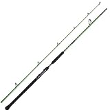 Canna da pesca del pesce gatto stazionario