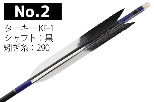 山武弓具店 ターキーKF-1 EASTON2015 矢 6本組
