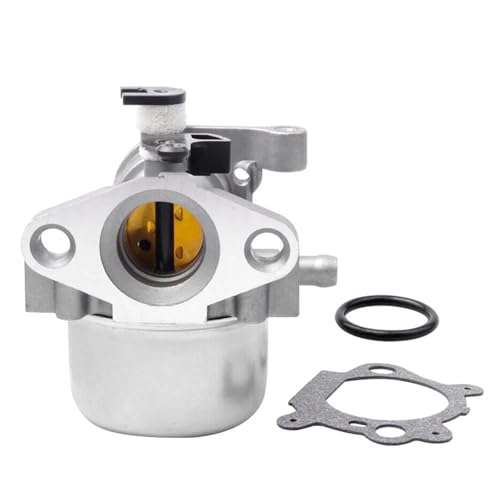 Carburateur pour Briggs & Stratton 799871 790845 avec kit de réparation de moteur