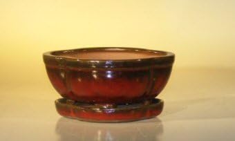 Parisian Red Ceramic Bonsai Pot- Oval Attached Humidity Drip Tray Professional Series 6 37 x 4 75 x 2 625