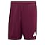 Team Maroon 2 / White