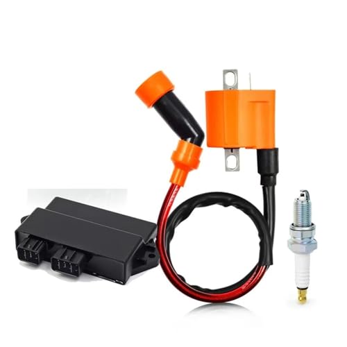 Bobine Allumage pour Warrior 350 et boîte CDI 3GD-85540-40-00 pour moto