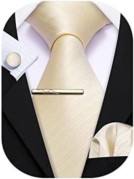 Barry.Wang Mens Solid Paisley Silk Tie Jacquard Necktie 4PCS Set Formal Wedding