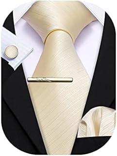 Barry.Wang Mens Solid Paisley Silk Tie Jacquard Necktie 4PCS Set Formal Wedding