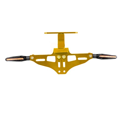Support de plaque moto avec lumière homologué pour rénovation arrière R15 MT 03 FZ6