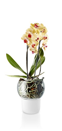 Eva Solo Orchid Pot Self-Watering Frosted Glass