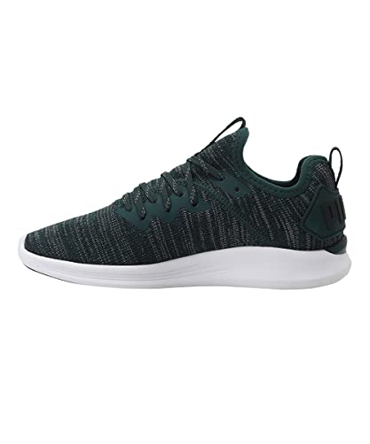 Image of Puma Unisex Kid Ignite Flash Evoknit PS Sneaker