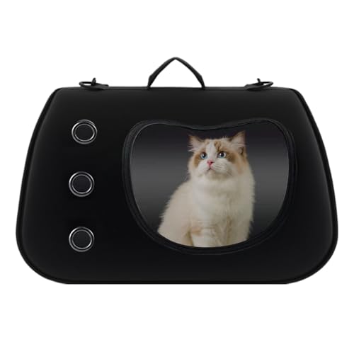 Solution de transport légère pour promenade avec chien et chat à l'épaule