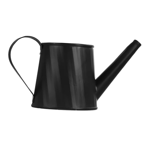 Toddmomy Regadera Metálica Negra para Plantas Pequeñas con Mango Ergonómico Regadera Portátil para Suculentas y Decoración De Jardín Interior