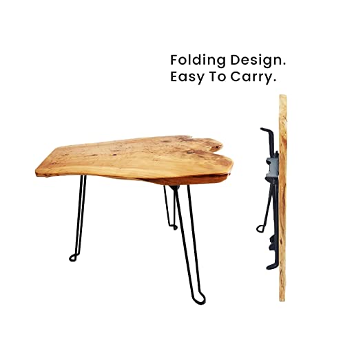 [Pj Collection] Live Edge Foldable Table, Natural Fir Root Table Top, Foldable Table Legs, Lightweight Table, No Tool Assembly, #TOP3