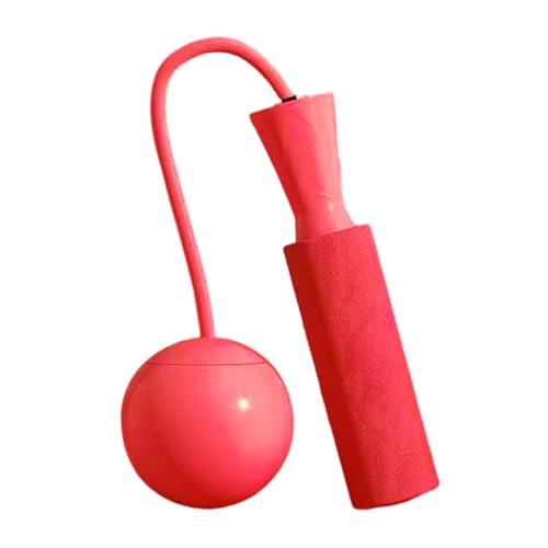 amangul Gewichtetes Springseil Für Erwachsene Mit Schwerem Stahlkabel Professioneller Sportsprung Mit Schweren Bällen Indoor Springen Professionelles Sport Fitness Springseil