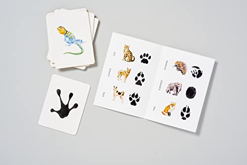 Match a Track: Match 25 Animals to Their Paw Prints