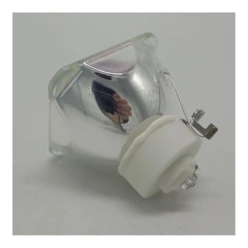 Lampe NP23LP pour projecteur NEC NP-P401W et P451X