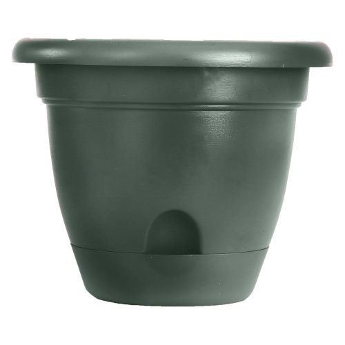 Bloem LP0652 Living Lucca Self-Watering Planter, 6
