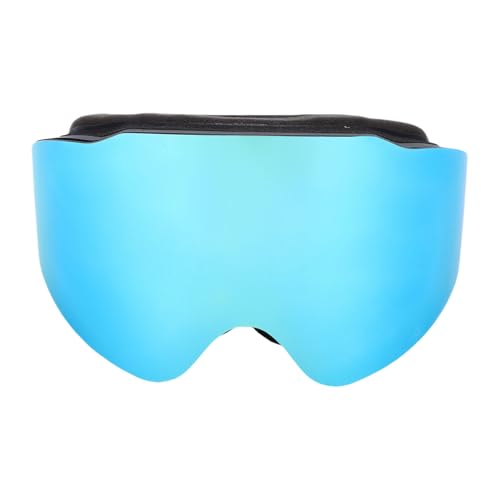 Hamwesh Ski Goggles, Double Layer Anti Fog PC Lens Snow