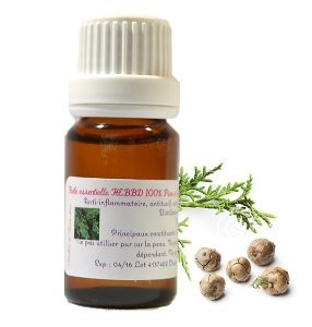 Huile Essentielle HEBBD de CYPRÈS de PROVENCE (Cupressus sempervirens) (10ml) Cover
