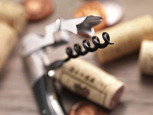 Kit Sommelier, Aço Inoxidável, 2 Peças, ZWILLING Sommelier