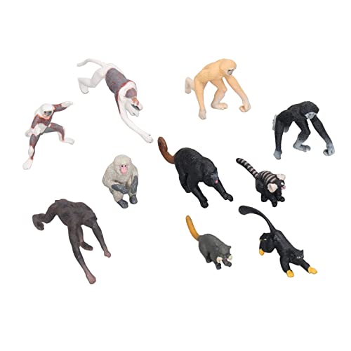 Aumotop 10PCS Primaten-AFFE-Lemur-Modelle, Hohe Simulation, Detaillierter Look, Schreibtischdekoration für Kreativitätsspiele, Kunststoff-Tierset