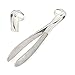 DDP Dental Tooth Extracting Forceps # 86