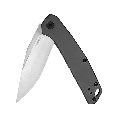 Kershaw Align Pocket Knife, Gray Design, 3.15 Inch Stainless Steel Clip Point Blade, EDC with Assisted Opening, Reversible Pocketclip, Everyday Carry Pocket Knife for Men and Women