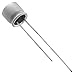Panasonic Industrial Devices 2SEPC390M+TSS Capacitor Aluminum Polymer
