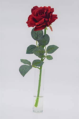 Gray Lane Clear Acrylic Water For Floral Arrangements #TOP6