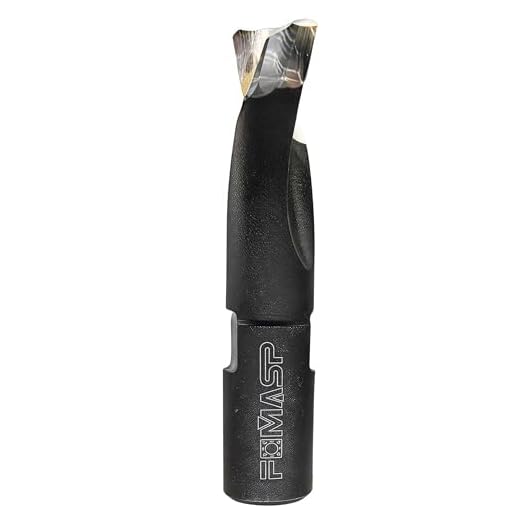 FomaSP Domino Cutter, Solid Carbide Domino Bit for Domino DF500 ,10mm