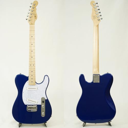 エレキギター G＆L asat」の人気商品一覧 | 安い商品を通販サイトから