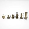 90 Sets Chicago Screws Assorted Kit 5 Sizes Bronze Leather Rivets 5mm Screw Rivets Flat Fillister Book Binding Posts Nail Rivet Chicago Bolts for DIY Leather Craft Bookbinding (6,10,12,15,18mm) #1
