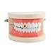 Enamel Shape Hip Hop Mouth Red Heart Teeth Grillz–18K Gold Plated & Silver, Fashion Accessory for Parties, Streetwear Cosplay(Silver)