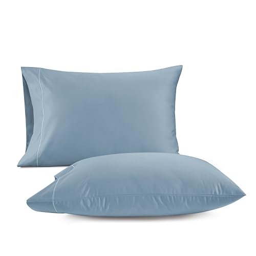 LANE LINEN 100% Egyptian Cotton Pillow Cases Queen Size Set of 2 (20