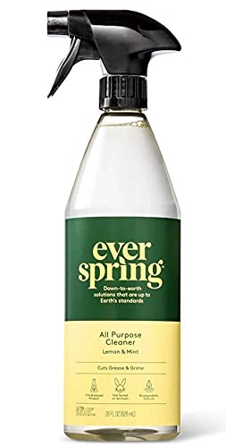 Everspring Lemon & Mint All Purpose Cleaner, 28 fl oz