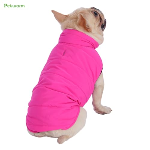 Best Waterproof Coat For Dog Walking fOR 2025