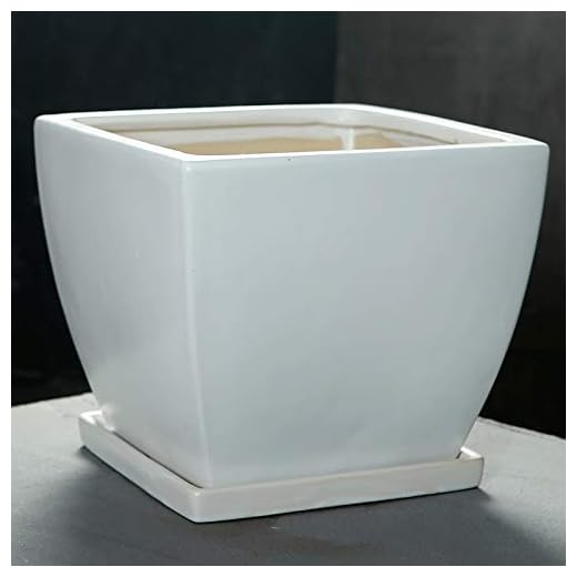 Qeepenl Blomkruka keramik extra stor stor inomhus och utomhus balkong grön växt enkel grå svart fyrkantig keramisk blomkruka (Color : White, Size : Medium)