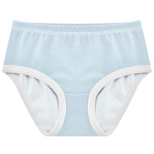 Joisal Cotton Toddler Underwear Floral Blue Pale Gradient Cute Panties Girl Bright Briefs Kids Undies 2t
