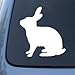 RABBIT SILHOUETTE - Bunny - Vinyl Car Decal Sticker #1548 | Vinyl Color: White