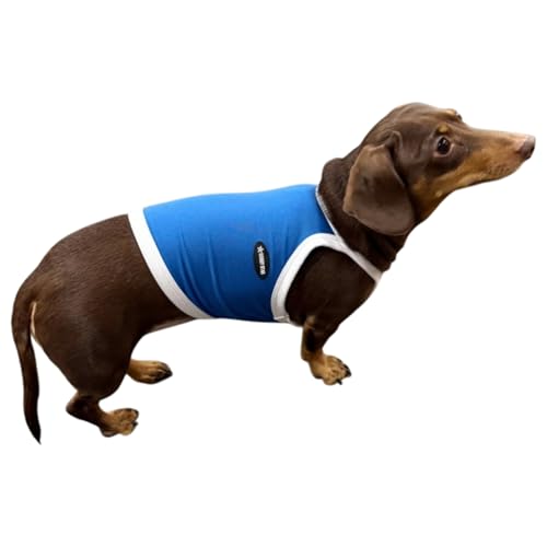 D DOGGY STAR ダックス服 接触冷感 ひんやり スポーツ クール クロップド タンクトップ 小型犬 中型犬 ダックスフンド 夏 ドッギースター (青, L)