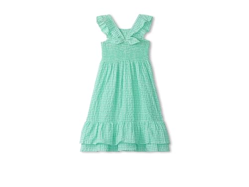 Hatley Girls Tall Gingham Seersucker Smocked Dress (Toddler/Little Big Kid)