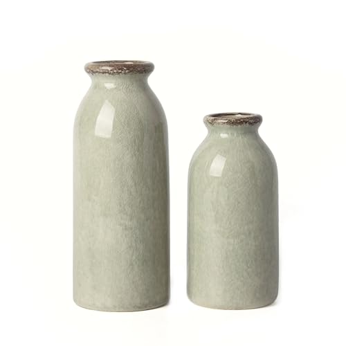 VICTOR & TERESA Green Ceramic Vases Home Decor, Farmhouse Vase