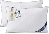 Utopia Bedding Relleno cojín Cojínes para Cama, Unidad de 2 | 30x50 cm)