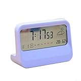 Wiederverwendbarer Filter, kompatibel mit Reinigungsgerät für die Hausreinigung (lila)