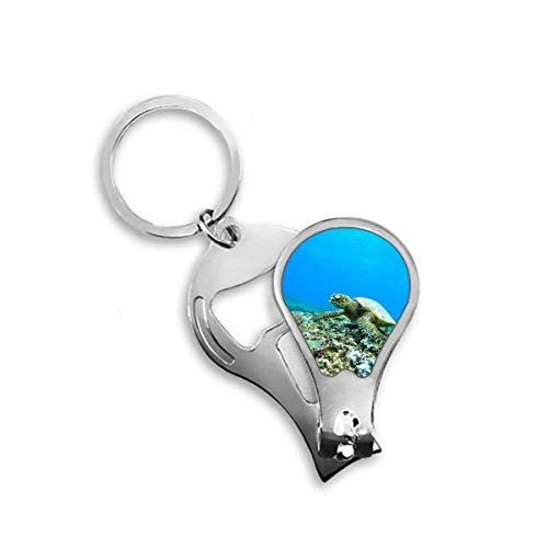 Coupe-ongles océan et sciences avec motif tortue et poisson pour une coupe nette au quotidien