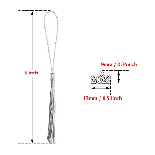 Tupalizy 10Pcs Mini Silky Handmade Bookmark Tassels With 20Pcs 2023 Year Charms For Graduation Keychain Earring Jewelry Making Wedding Favors Souvenir Gifts Tags Diy Craft Projects, Silver And Silver #TOP2