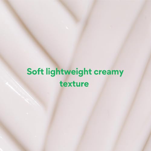 Image of Innisfree Green Tea Seed Moisturiser with Hyaluronic Acid 50Ml| Hydrating & Soothing Face Cream | Non oily & Sticky | Korean Skincare for Dry & Dehydrated Skin For Dry Skin, Normal & Sensitive Skin