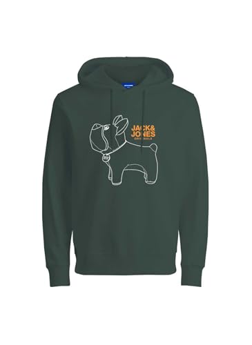 JACK & JONES JORPAL Sweat Hood FST
